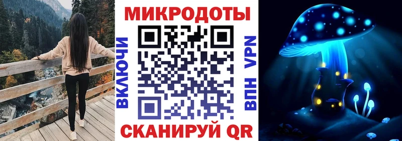 Псилоцибиновые грибы мухоморы  Купить закладки  Холмск 